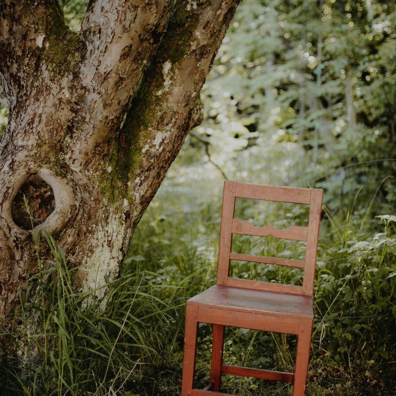 sofia-holmberg-WZBwC2tDaOA-unsplash